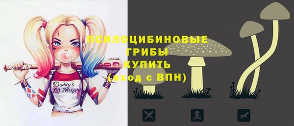 дмт Арсеньев