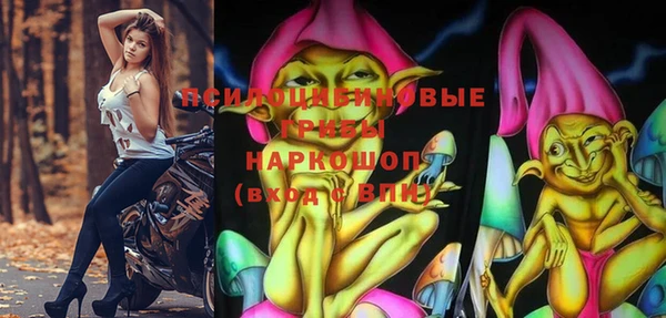 дурь Аркадак