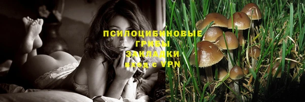 дурь Аркадак