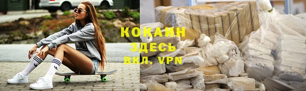 дмт Арсеньев